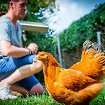 Vakwerkloft Alojamento de Turismo Rural
