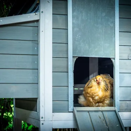 Farm stay Vakwerkloft *