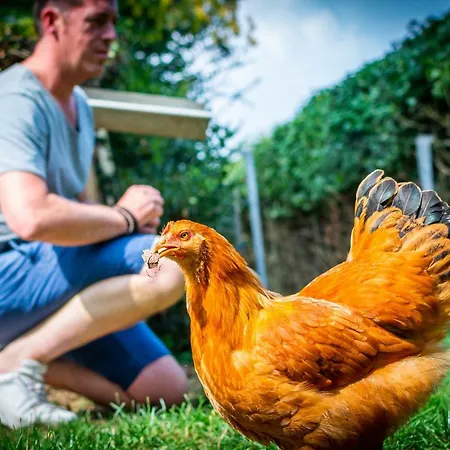 Vakwerkloft Farm stay