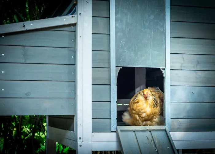 Feriegård Vakwerkloft *