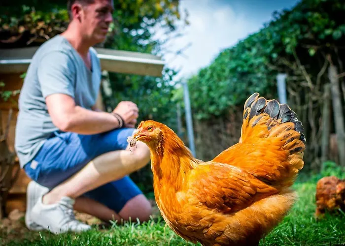 Vakwerkloft Feriegård