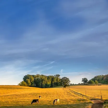 Vakwerkloft Valkenburg aan de Geul