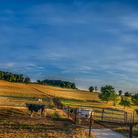 Vakwerkloft * 팔켄뷔르흐안더횔