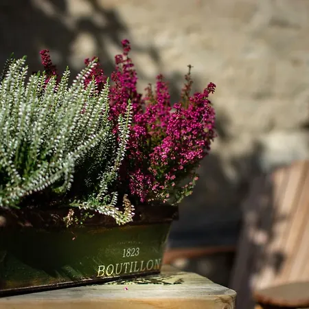 Çiftlik konaklama Vakwerkloft