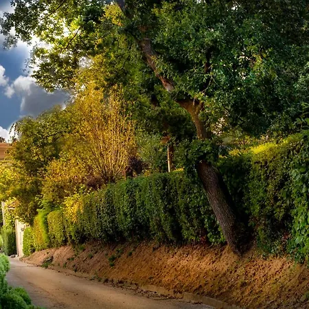 팜스테이 Vakwerkloft