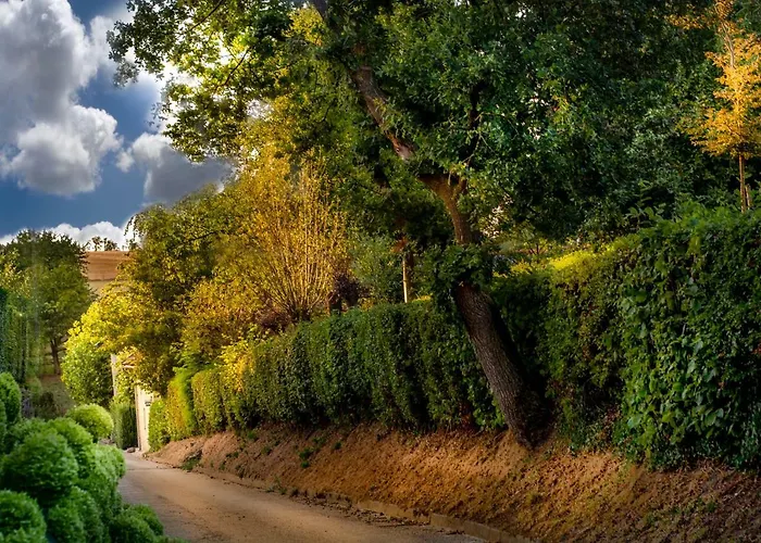 בית חווה Vakwerkloft